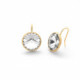 Basic crystal earrings in gold plating image