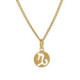 Astra gold-plated Capricorn necklace image