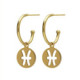 Astra gold-plated Pisces earrings image