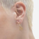 Astra gold-plated Taurus earrings cover