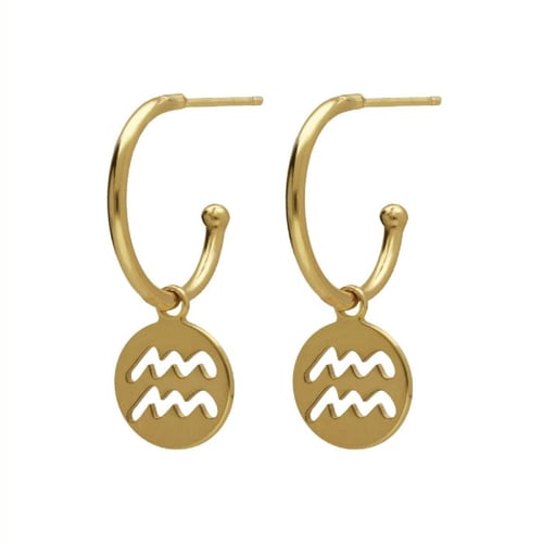 Astra gold-plated Aquarius earrings
