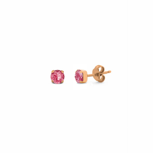 Rose Gold plated Sterling Silver Stud earrings circle crystal from Celine