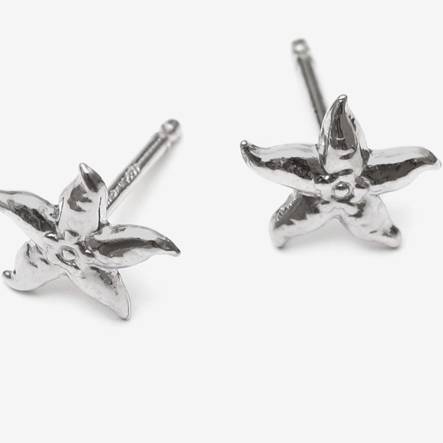 Rhodium Plated Sterling Silver Stud earrings star from Bliss