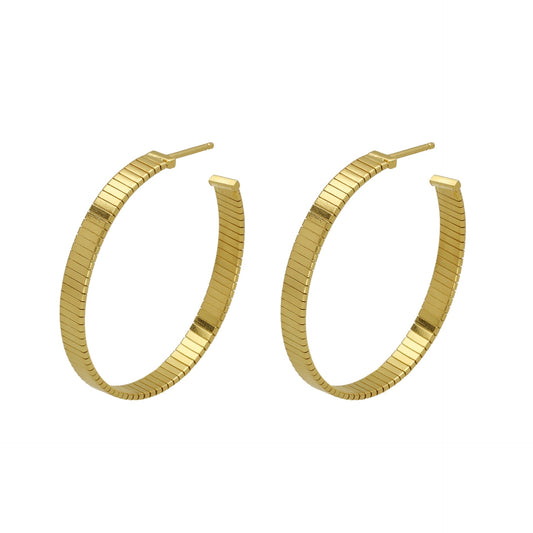 Sterling Silver Hoop earrings from Cairo